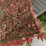 Highgate Red Acer Wall Artificial Panel